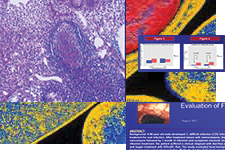 cdiff-web