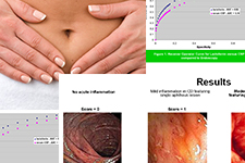 inflamm-web