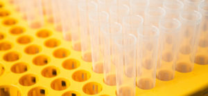 Our Services - TECHLAB, Inc.
