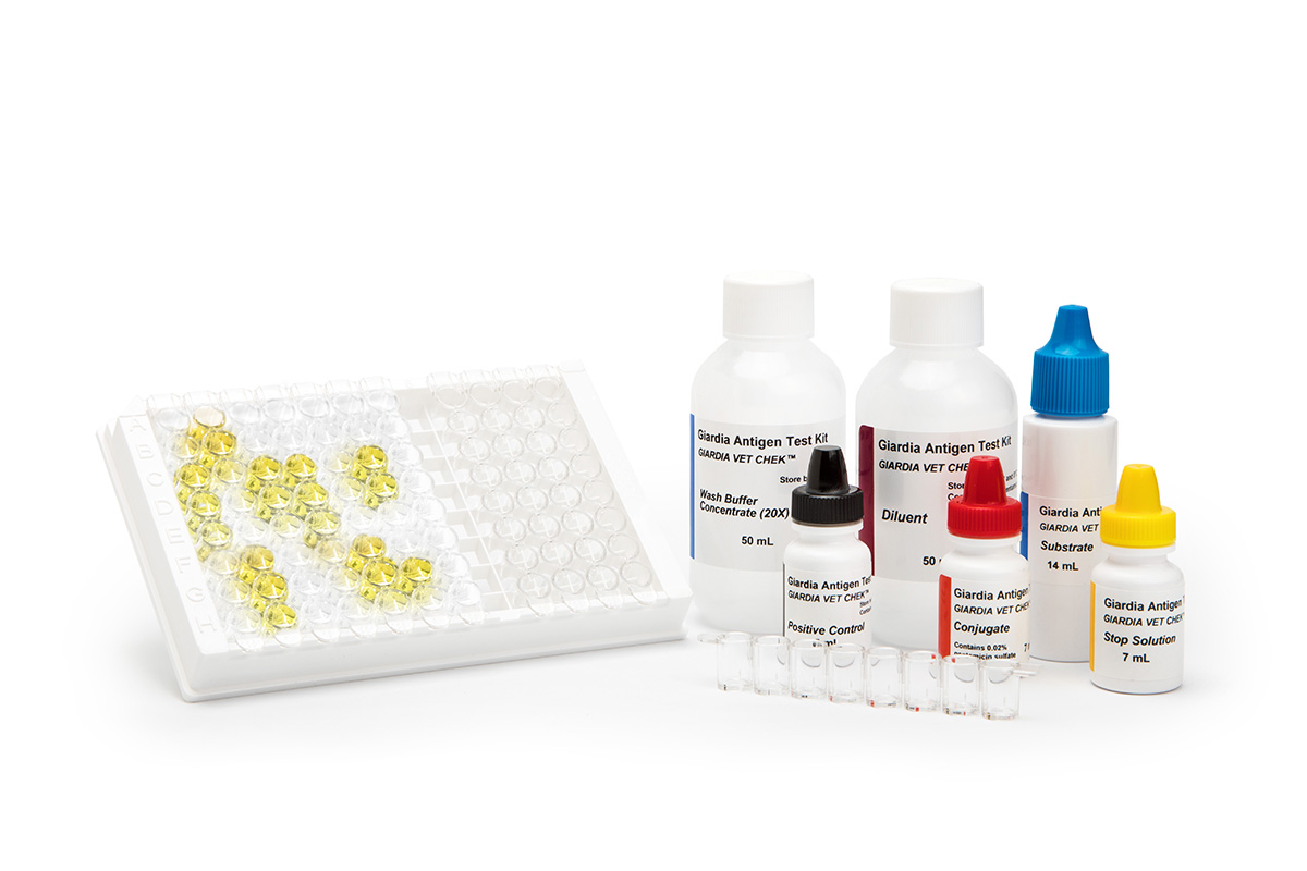 giardia antigen elisa