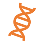 C. DIFF QUIK CHEK COMPLETE - Molecular Testing (RT-PCR)